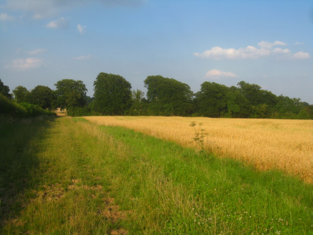 File:Approach to Oakley Park - geograph.org.uk - 3064759.jpg