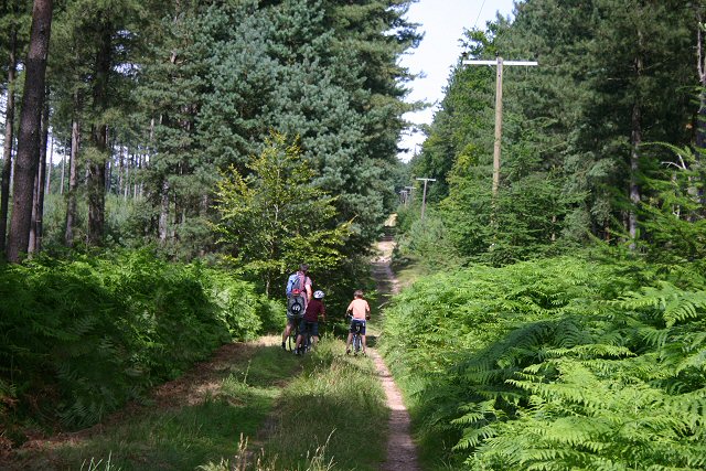 File:Brandon Park - geograph.org.uk - 514562.jpg