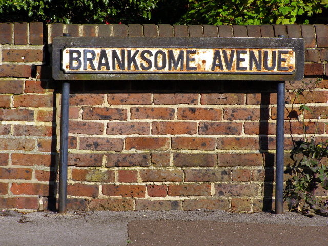 File:Branksome Avenue street sign - geograph.org.uk - 973322.jpg