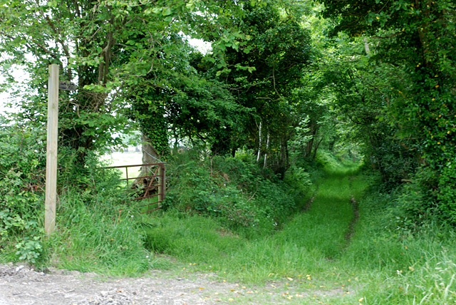 File:Bridleway to Cwm-cafn - geograph.org.uk - 828145.jpg