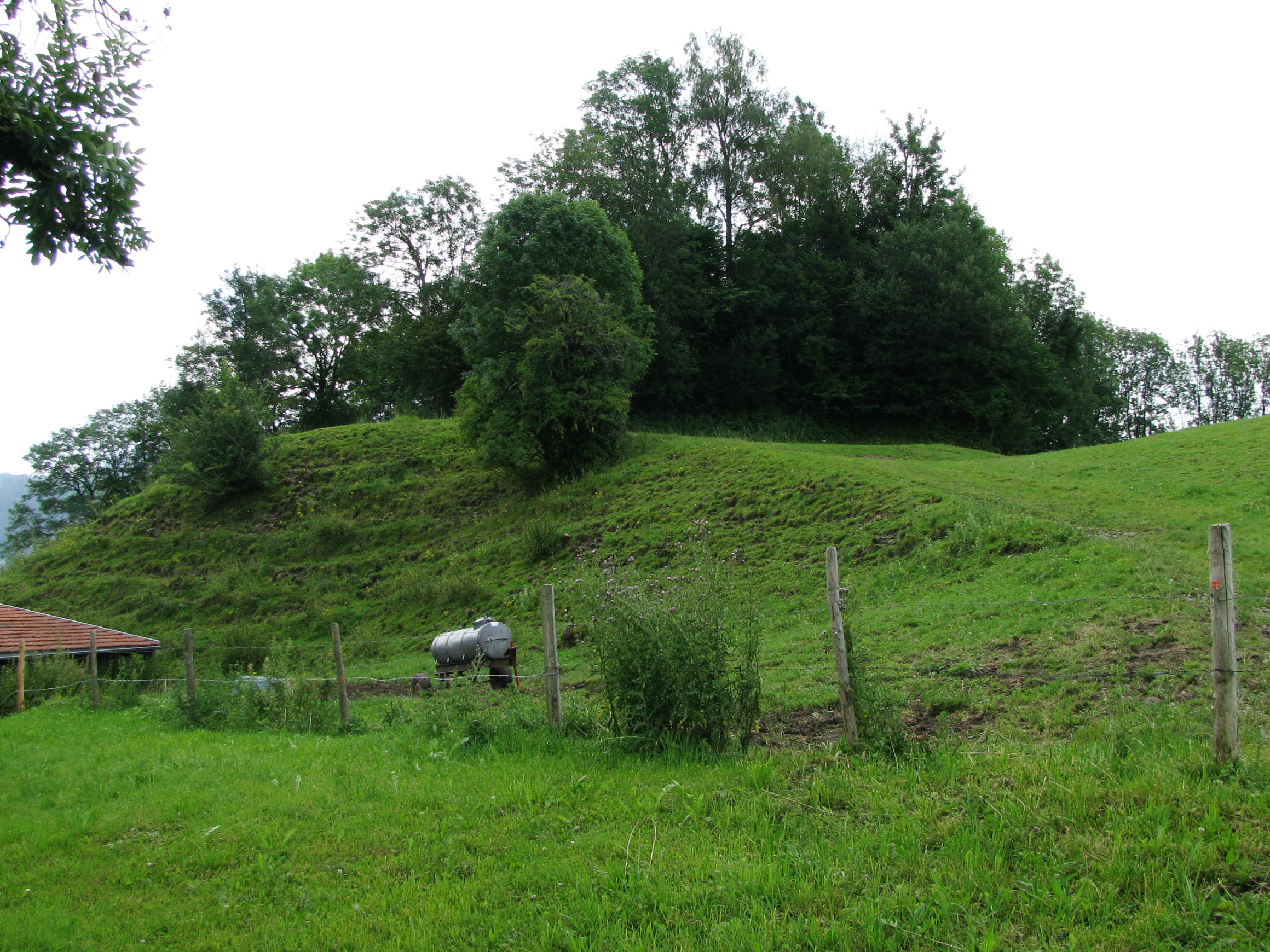 Standort der ehemaligen Burg Ringenberg von Norden.