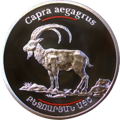 File:Capra aegagrus Armenian coin 2008 (face).png