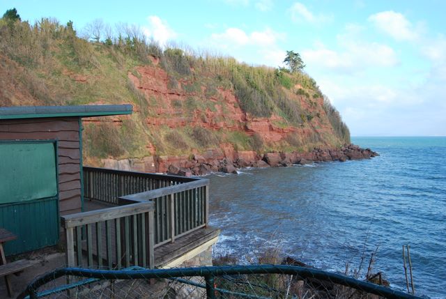 Cliffs at Maidencombe - geograph.org.uk - 1108192