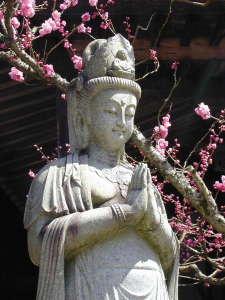 File:Daienin Kannon.JPG