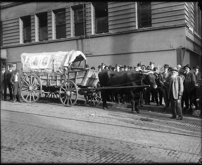 File:Ezra Meeker and his oxcart, 1912 (MOHAI 6280).jpg