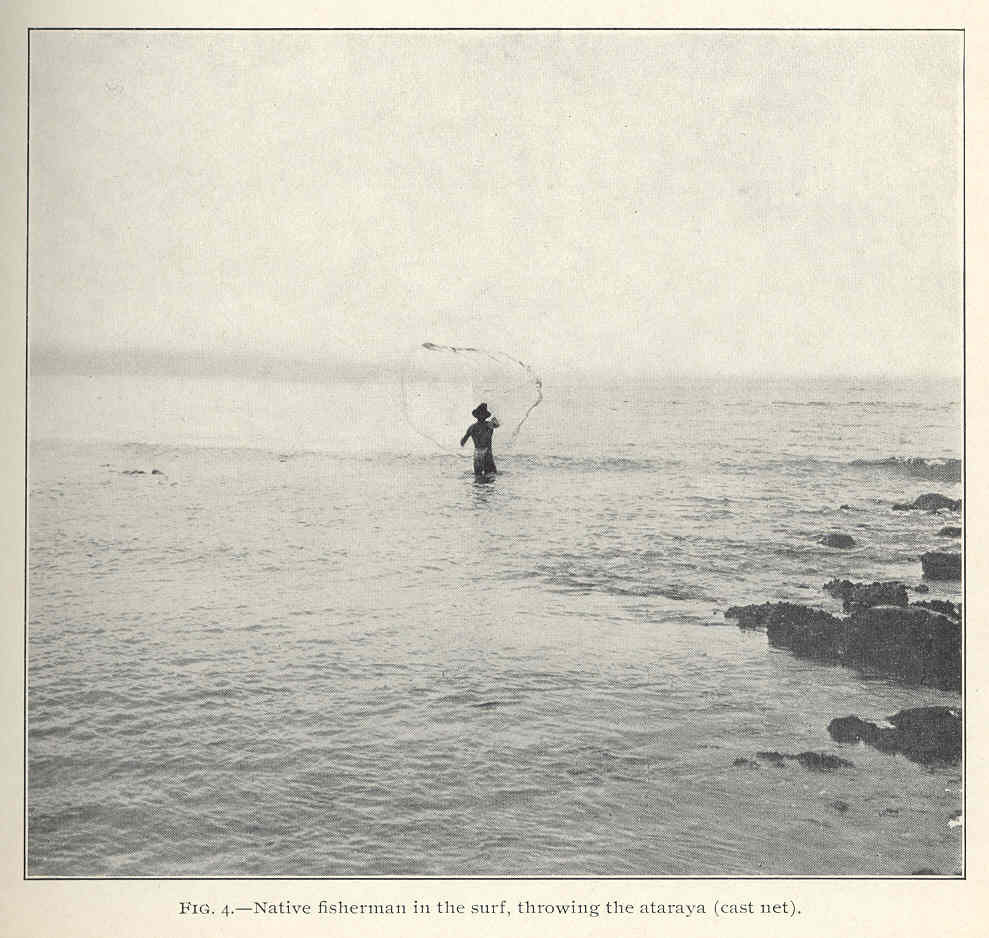 File:FMIB 42116 Native fisherman in the surf, throwing the ataraya (cast net).jpeg  - Wikimedia Commons