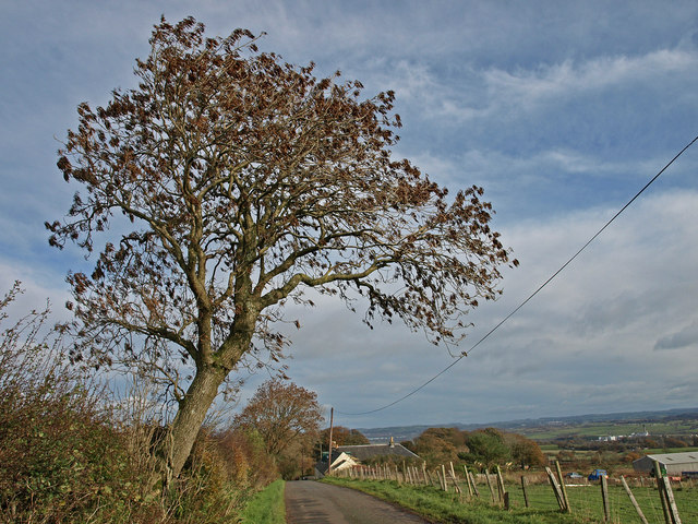 File:Fairlie Moor Road - geograph.org.uk - 1025237.jpg