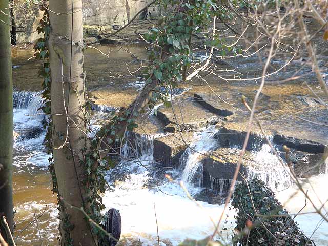 Falls on the Devil's Water - geograph.org.uk - 1736773