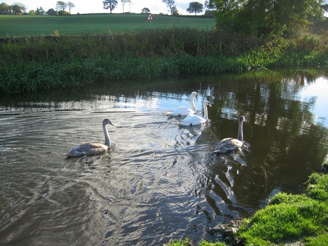 File:Family outing, Park. - geograph.org.uk - 64893.jpg