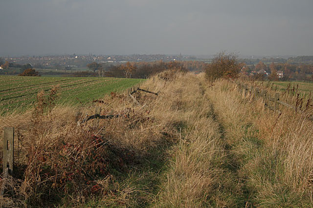 File:Farm drove near Cossall - geograph.org.uk - 611604.jpg