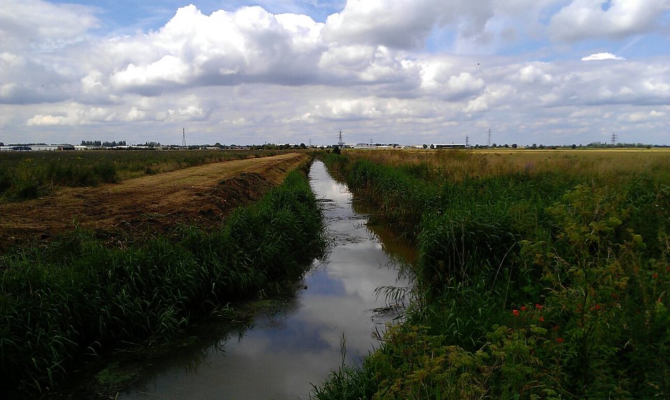 Flag Fen - Peterborough Archaeology