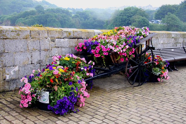 File:Floral display on the pier at Ilfracombe harbour - geograph.org.uk - 1494229.jpg