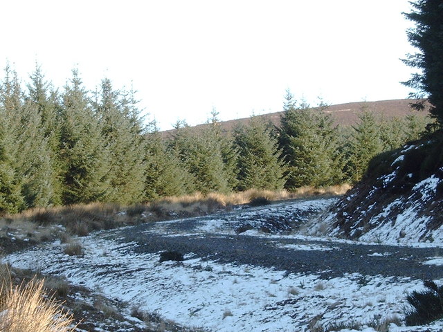 File:Forestry road near Cuil Hill - geograph.org.uk - 714293.jpg