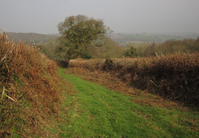 File:Green lane near Harts Farm - geograph.org.uk - 2833128.jpg