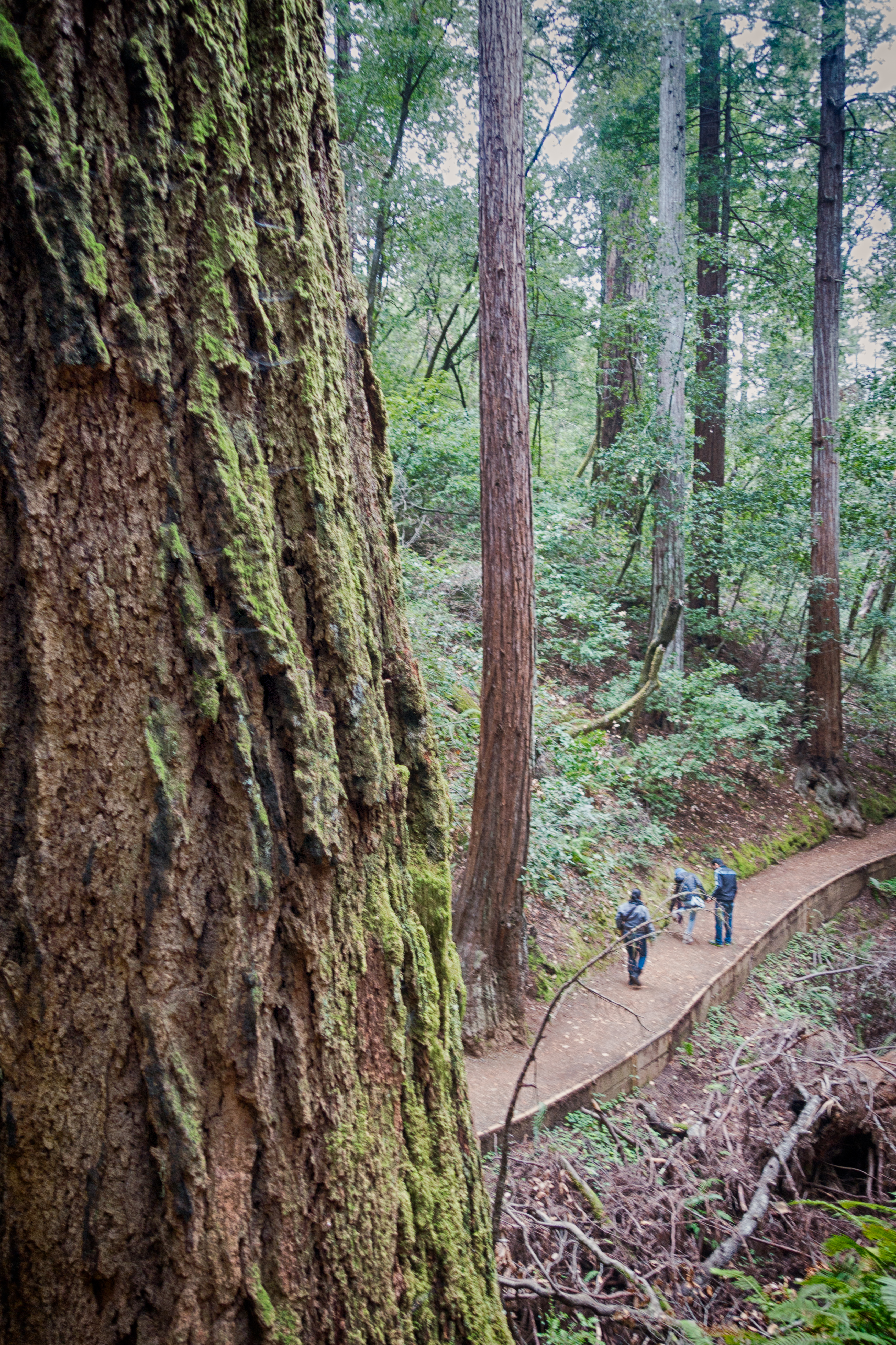 Group Passing on Lower Trail (18066487129).jpg