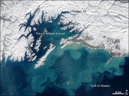 File:GulfOfAlaska AMO 2008073.jpg