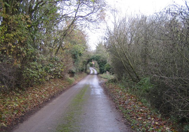 File:Hanging Wood, Lane to Standon - geograph.org.uk - 622752.jpg