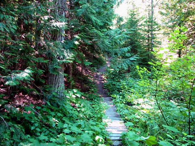 File:Hiking trails in Trail area.jpg