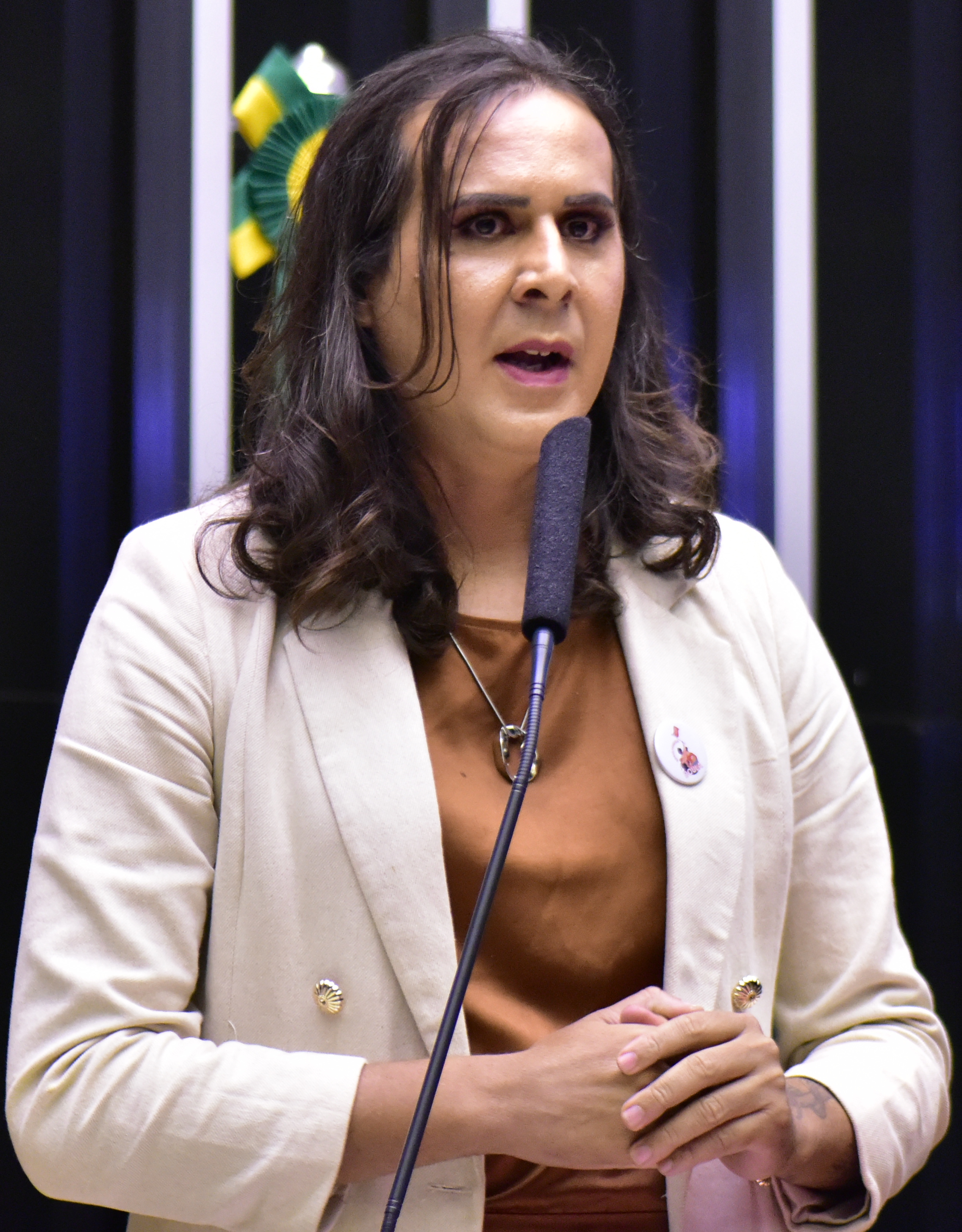 Brazil Elects First Transgender Congress Member