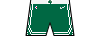 File:Kit shorts bostonceltics icon.png