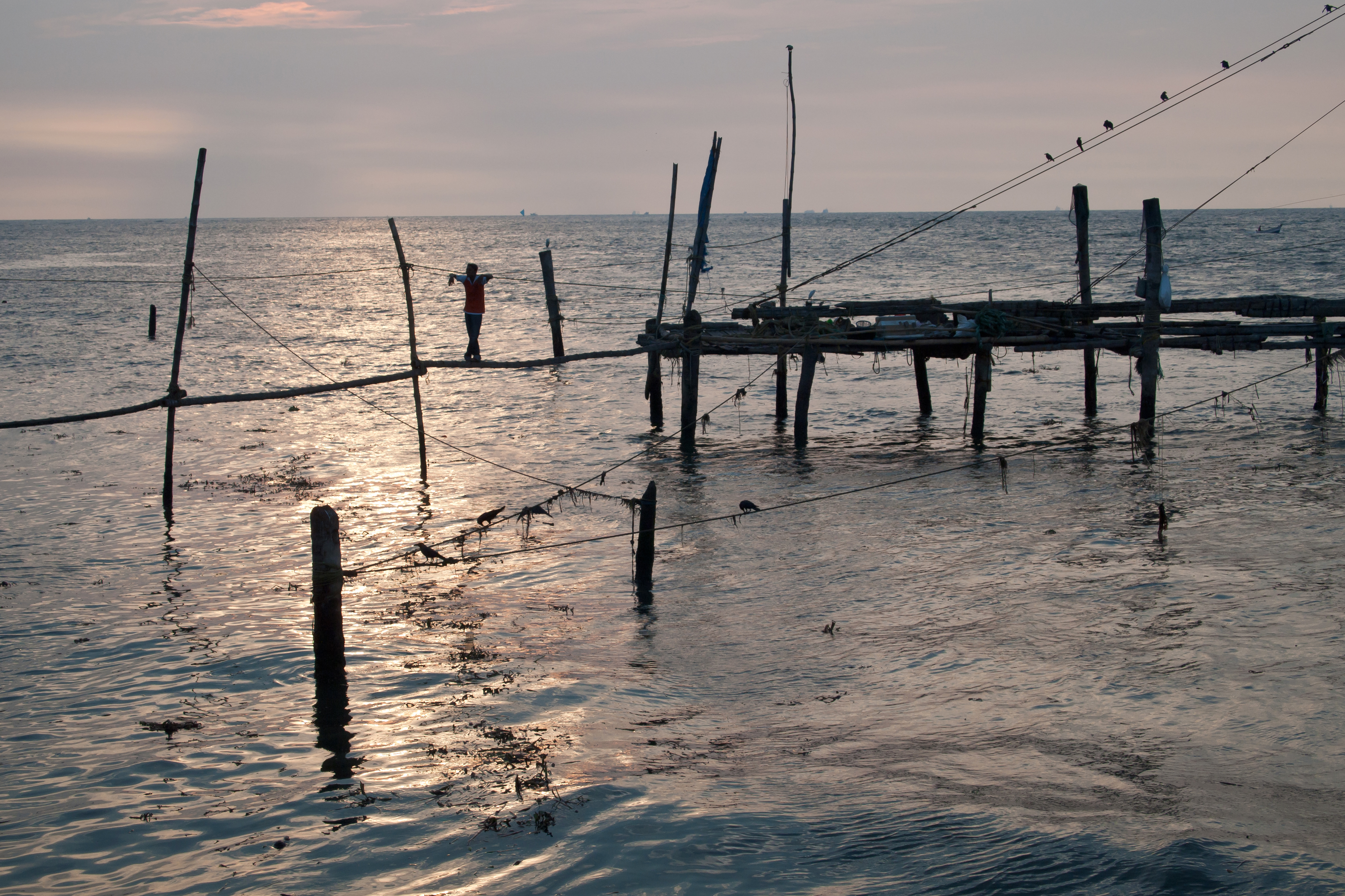 File:Kochi, Fishing nets, Sunset, Kerala, India.jpg - Wikipedia