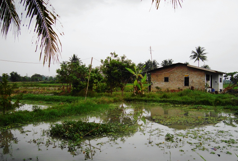 File:Kolam ikan tradisional (12).JPG