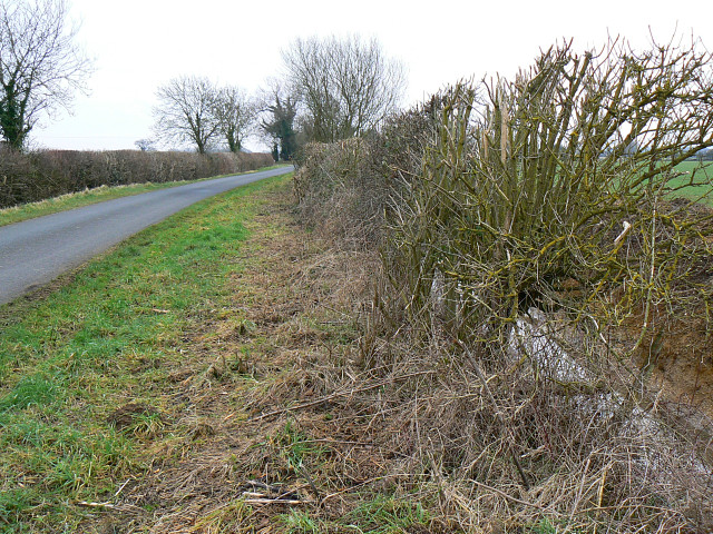 File:Lane, verge and ditch, near Marston Meysey - geograph.org.uk - 1137470.jpg