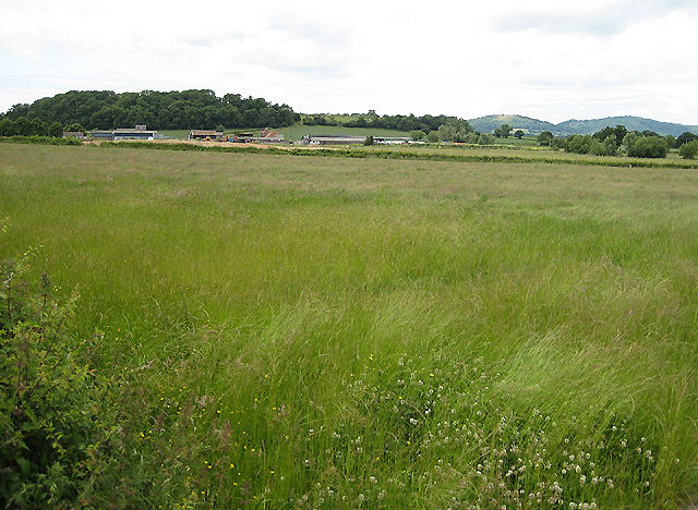 File:Meadow near Underhill Farm - geograph.org.uk - 849138.jpg