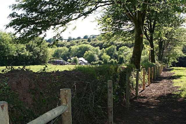 File:New Fence Posts - geograph.org.uk - 183232.jpg