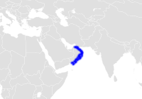 Oman Bullhead Shark Range.png