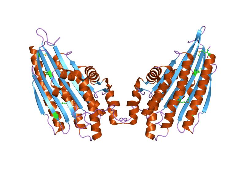 File:PDB 1vju EBI.jpg