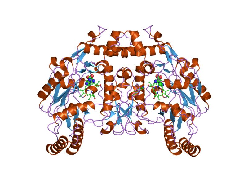 File:PDB 1zvl EBI.jpg