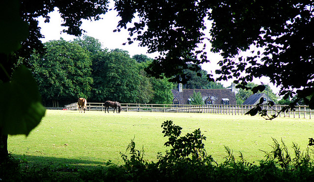 File:Paddock, Coates - geograph.org.uk - 898493.jpg