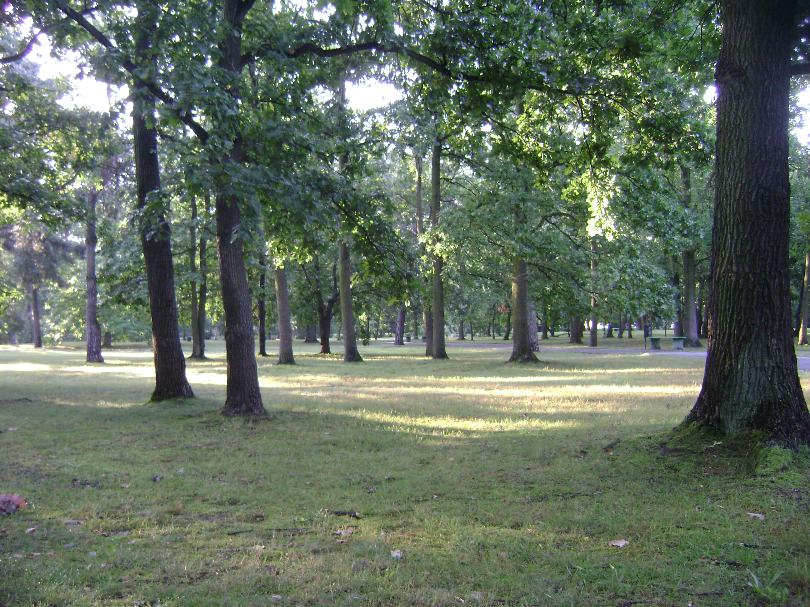 Park 12