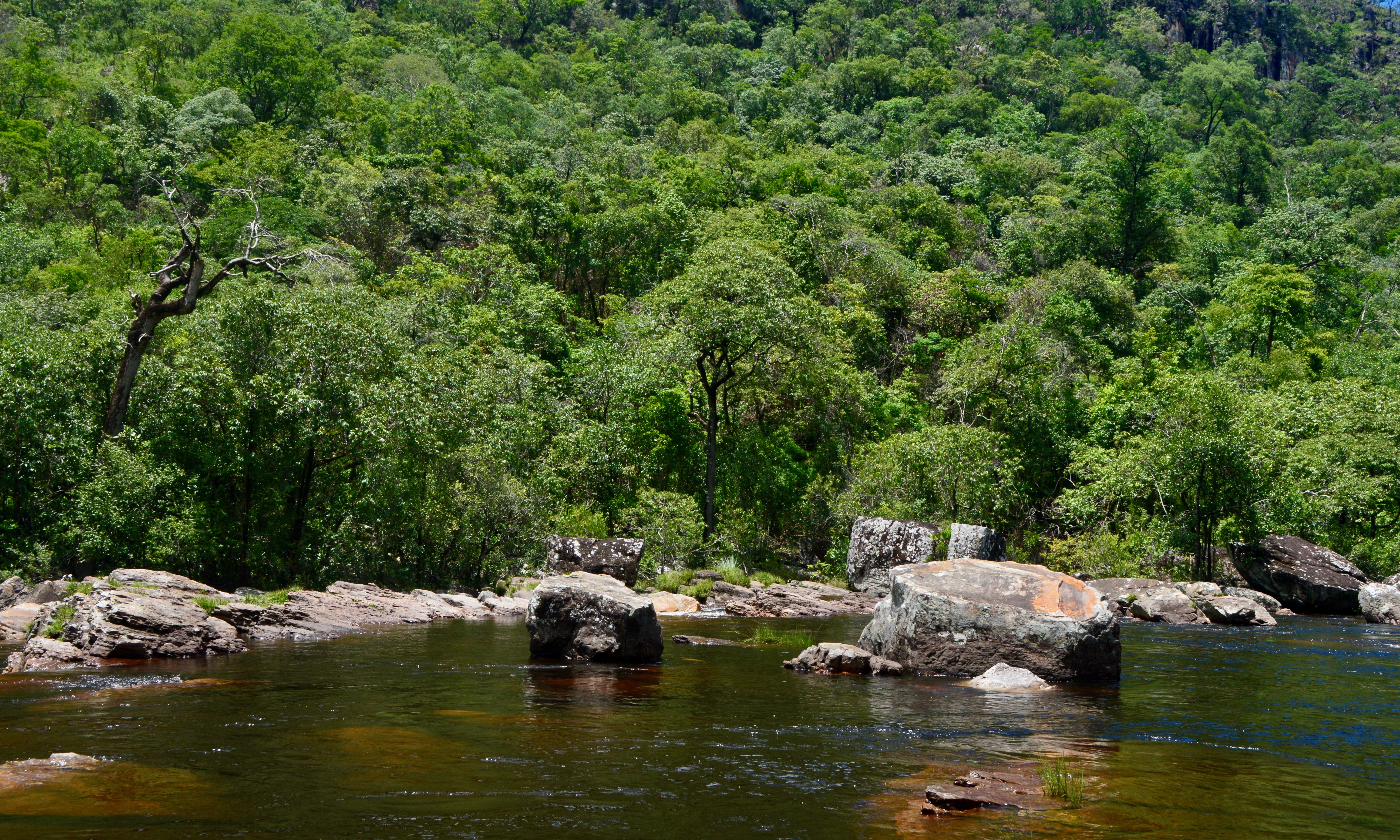 Cosas que se pueden hacer en un parque nacional