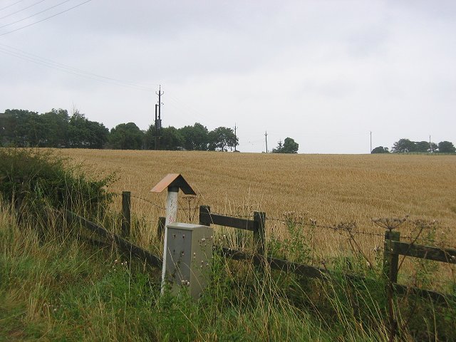 File:Pipeline, Westfields. - geograph.org.uk - 44296.jpg