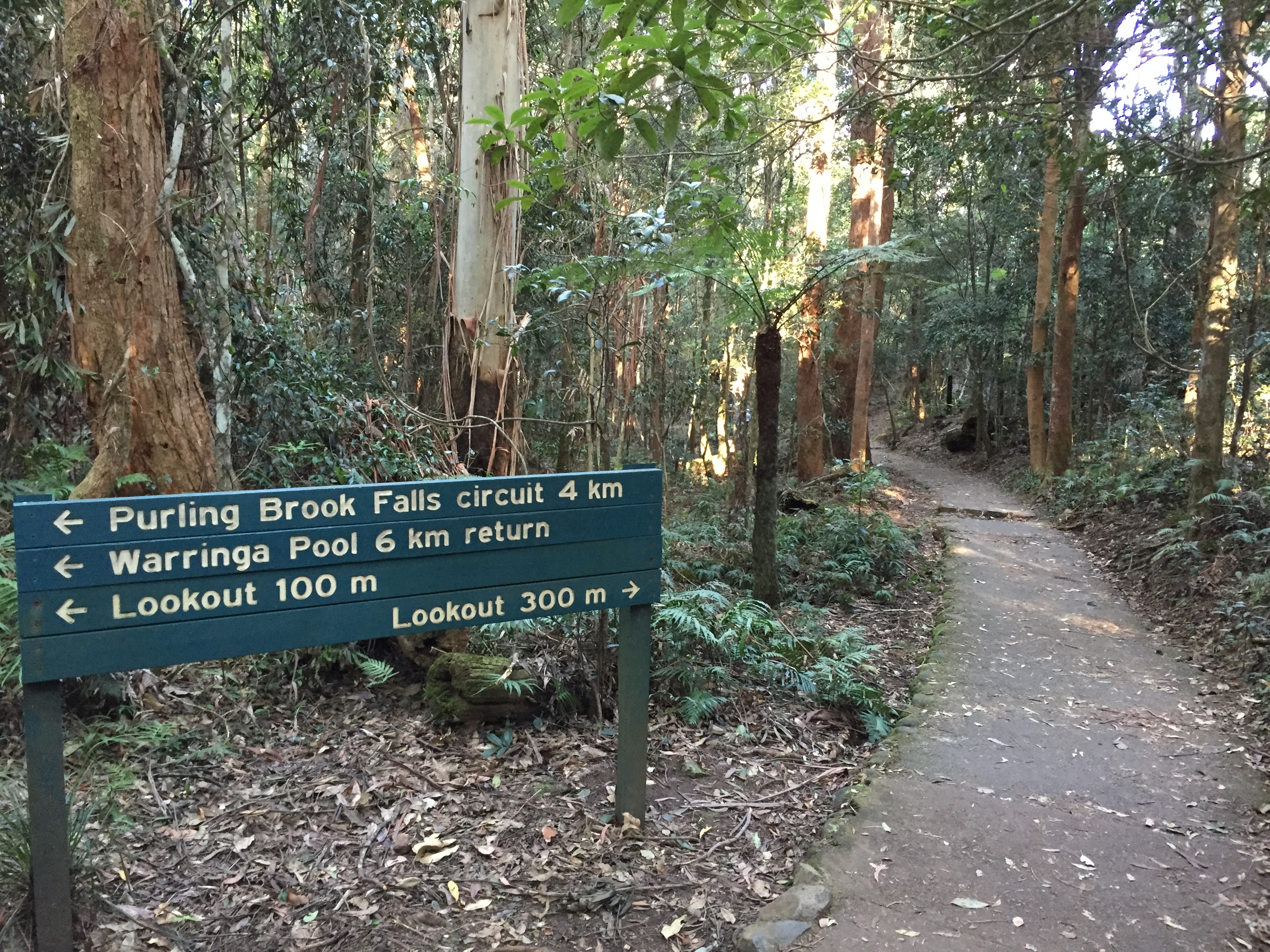 File Purling Brook Falls Circuit Path Jpg Wikimedia Commons