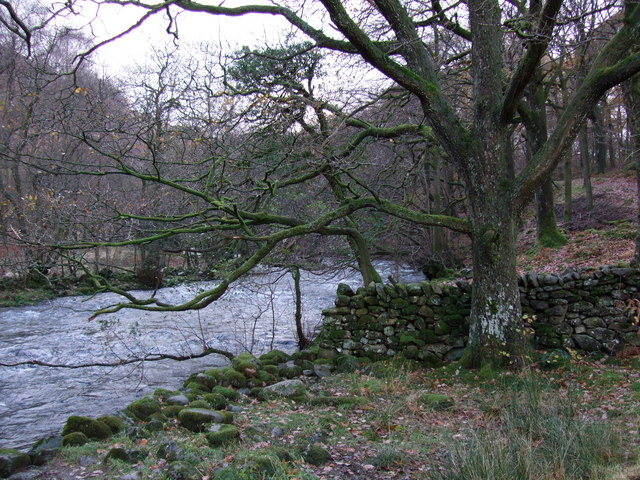 River and woods between Grasmere and Rydal Water - geograph.org.uk - 1072634