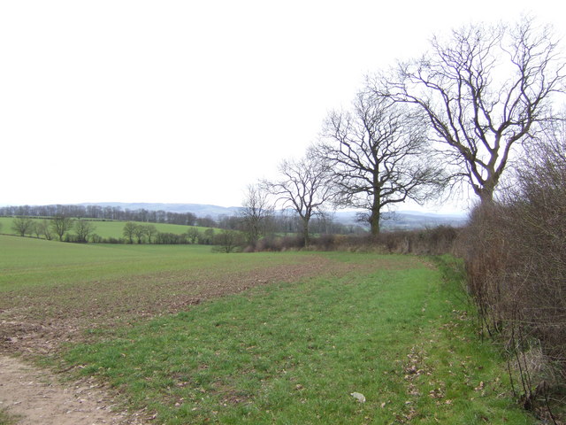 File:Rolling Herefordshire countryside - geograph.org.uk - 325649.jpg