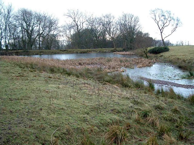 File:Small Dam - geograph.org.uk - 320864.jpg