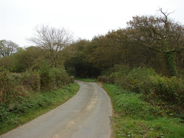 File:Small bridge over Small Brook - geograph.org.uk - 595952.jpg