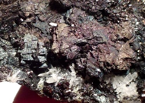 File:Sphalerite-Bornite-Enargite-135280.jpg