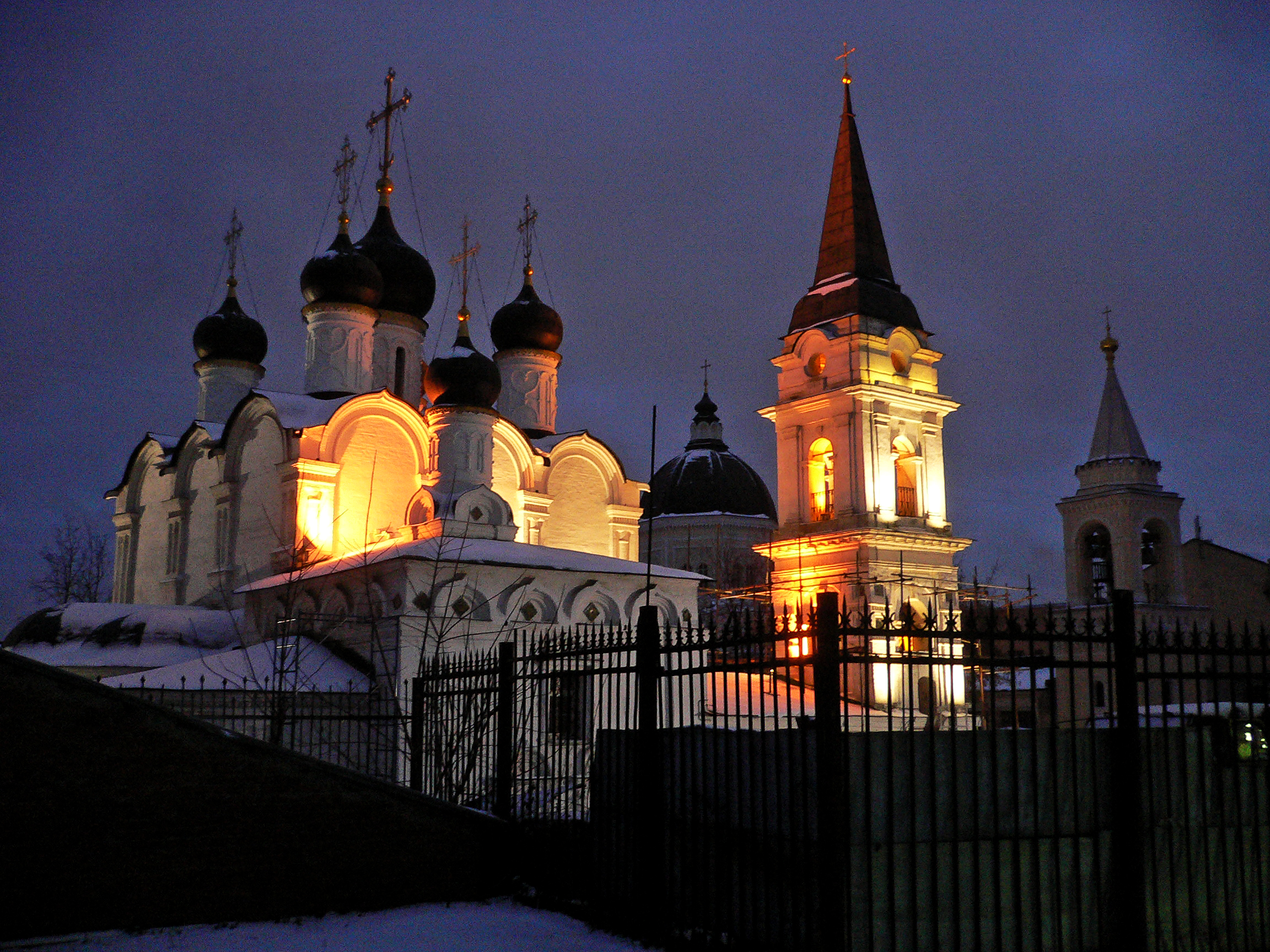 St Vladimir et St Jean le precurseur.JPG