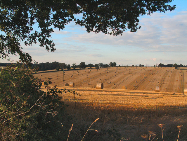 File:Straw Bales In The Evening Light - geograph.org.uk - 223280.jpg
