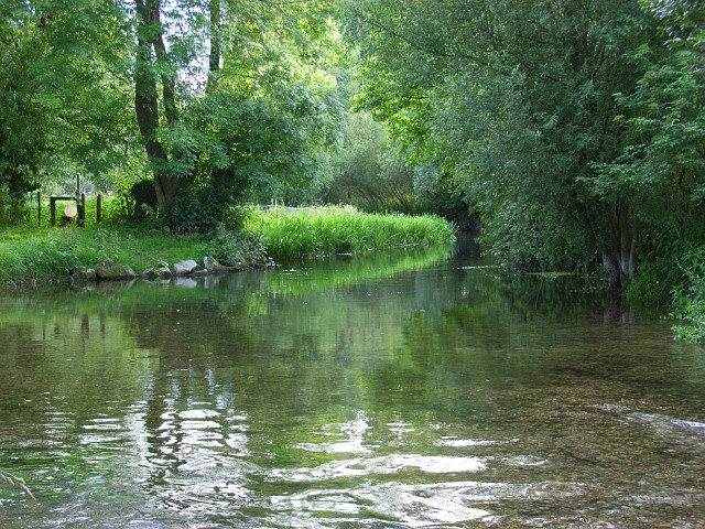 The River Wylye - geograph.org.uk - 478776