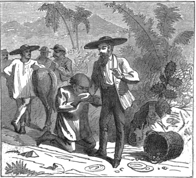 File:The grateful guava merchant p.161.jpg