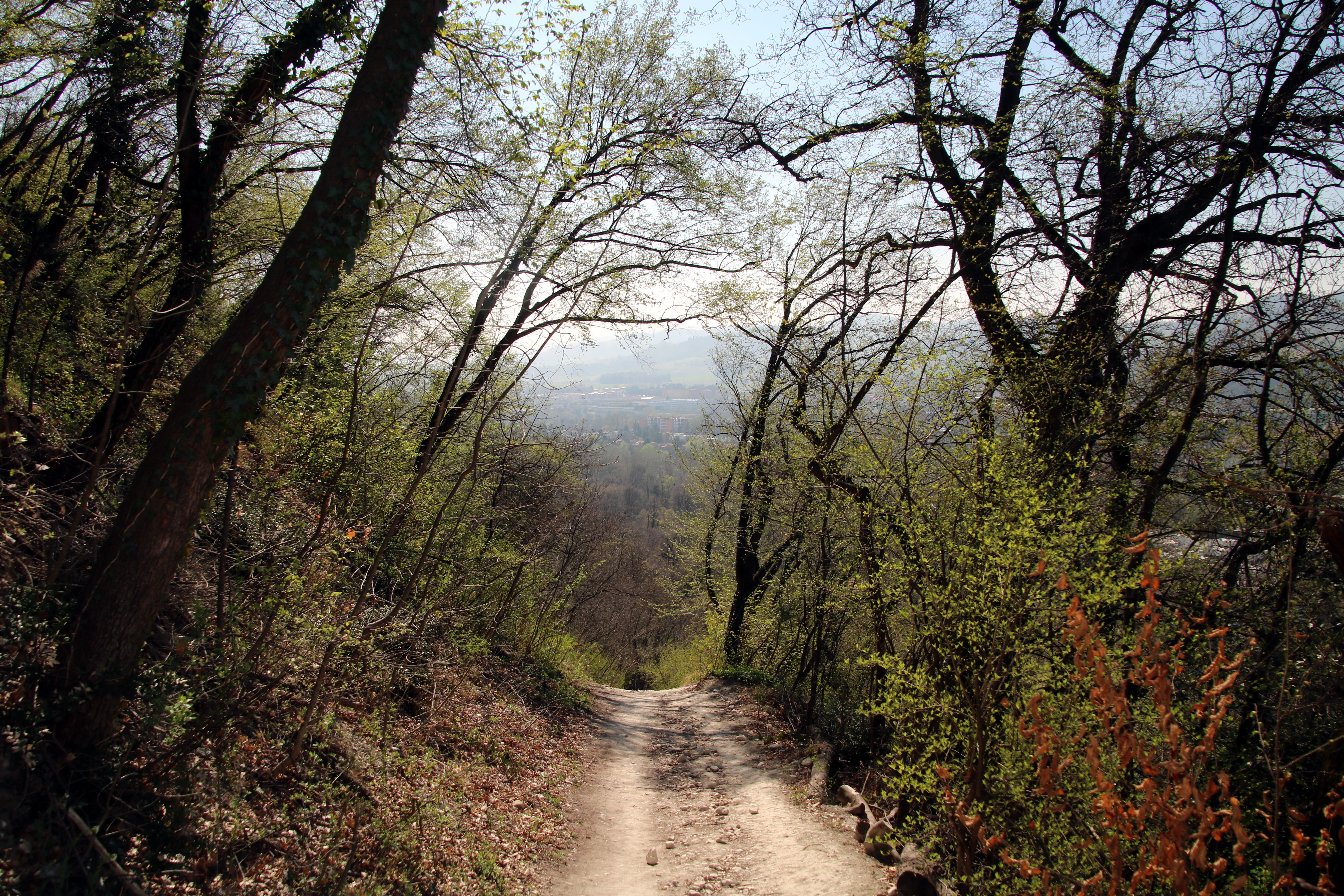 Via degli Dei - Guida in italiano