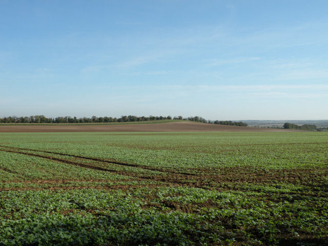 File:View of Mag's Hill from the Roman Road - geograph.org.uk - 998734.jpg