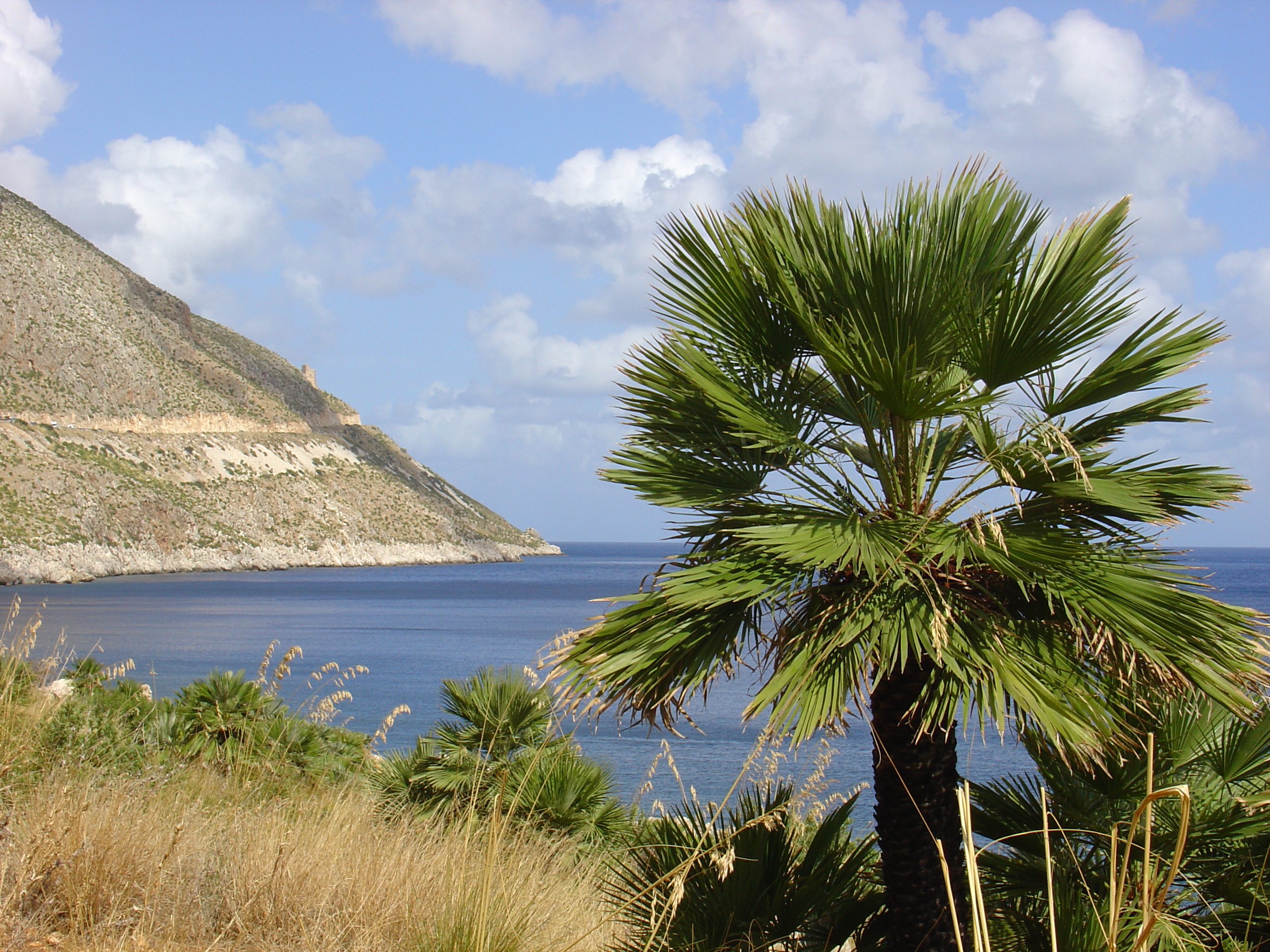 Riserva naturale orientata dello Zingaro - Wikipedia