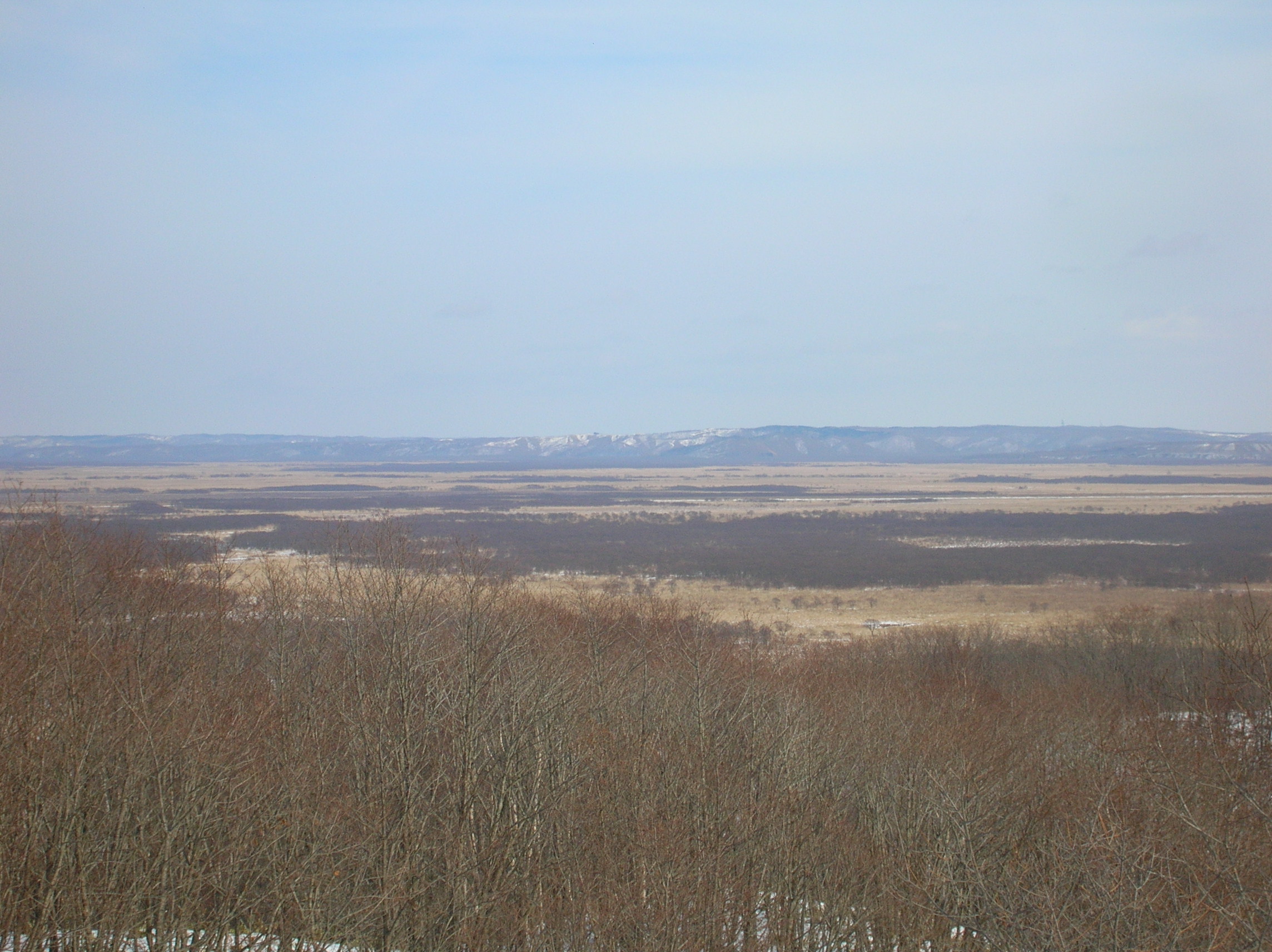 File 釧路湿原 冬 Kushiro Wetland In Winter Panoramio Jpg Wikimedia Commons